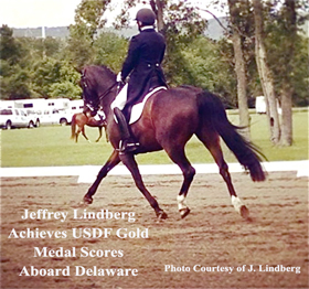 Jeffrey Linberg and Delaware