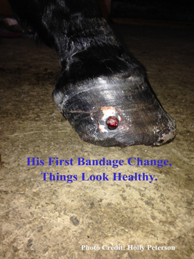 First Bandage Change