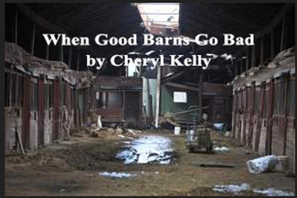 When Good Barns Go Bad by Cheryl Kelly