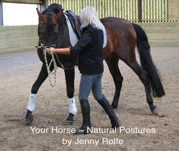 Your Horse ~ Natural Postures
 by Jenny Rolfe