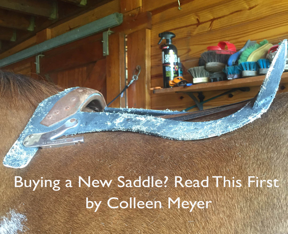 Buying a New Saddle? Read This First by Colleen Meyer