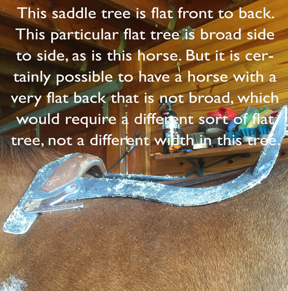 A flat saddle tree