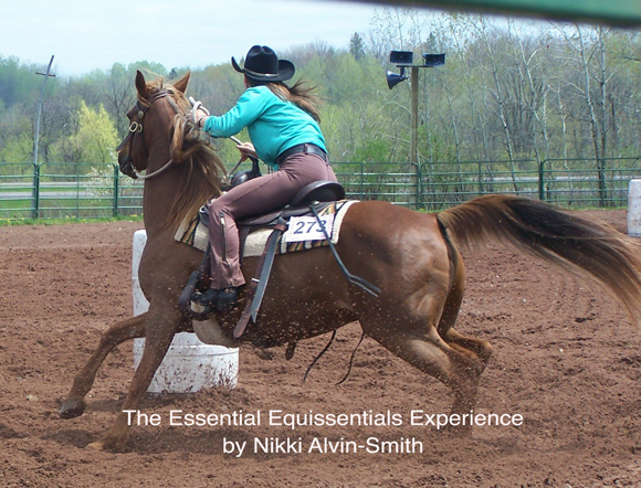 The Essential Equissentials Experience By Nikki Alvin-Smith