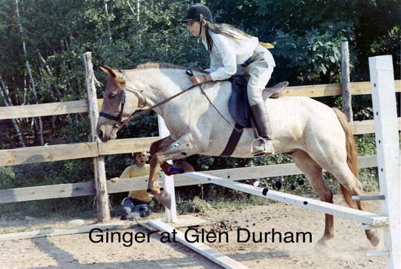 Ginger at Glen Durham