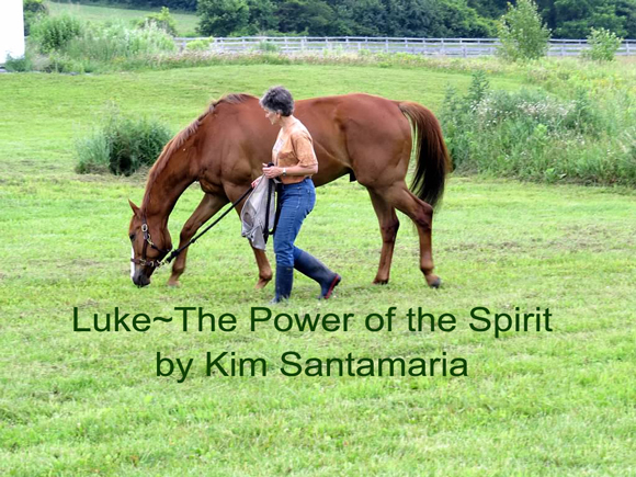 Luke~The Power of the Spirit by Kim Santamaria