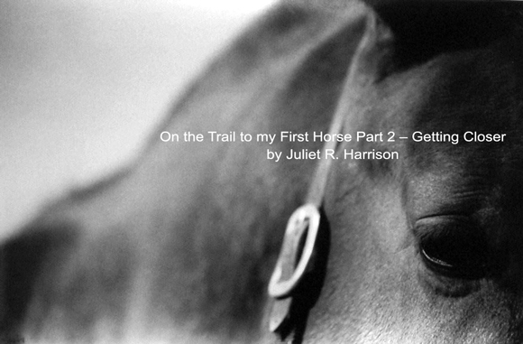 On the Trail to my First Horse Part 2 – Getting Closer by Juliet R. Harrison