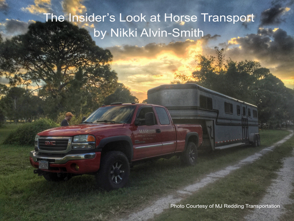 The Insider’s Look at Horse Transport by Nikki Alvin-Smith