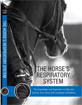 The Horse’s Respiratory System