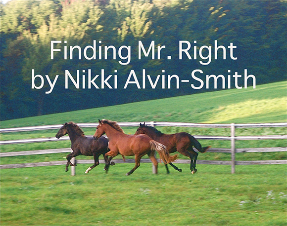 Finding Mr. Right
 by Nikki Alvin-Smith