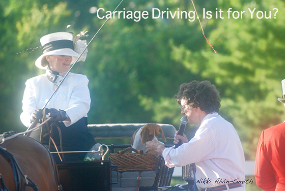 Carriage Driving. Is it for You? 
