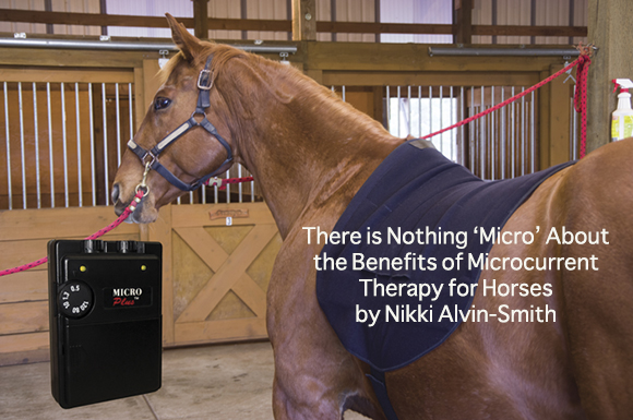 There is Nothing ‘Micro’ About the Benefits of Microcurrent Therapy for Horses
 by Nikki Alvin-Smith 