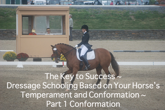 The Key to Success ~ 
Dressage Schooling Based on Your Horse’s Temperament and Conformation ~ Part 1 Conformation