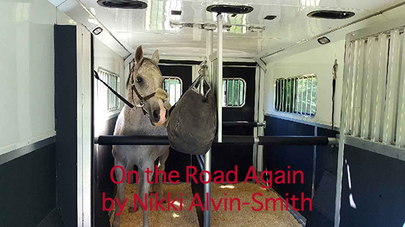 On the Road Again by Nikki Alvin-Smith