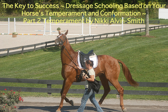 The Key to Success ~ 
Dressage Schooling Based on Your Horse’s Temperament and Conformation ~ Part 2 Temperament
by Nikki Alvin-Smith