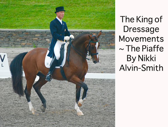 The King of Dressage Movements ~ The Piaffe 
By Nikki Alvin-Smith