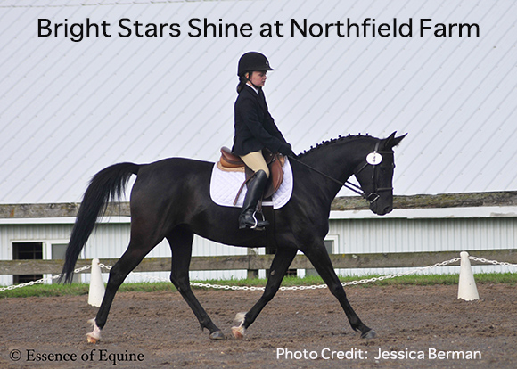 Bright Stars Shine at Northfield Farm

