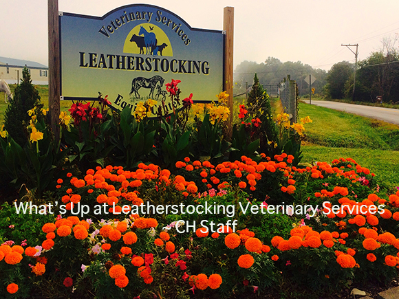 What’s Up at Leatherstocking Veterinary Services
~ CH Staff