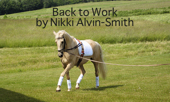 Back to Work by Nikki Alvin-Smith