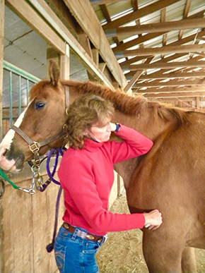 Who Doesn’t Love a Massage? Bet Your Horse Would Too..