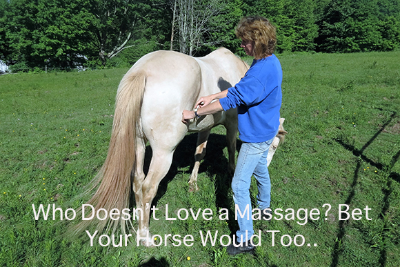 Who Doesn’t Love a Massage? Bet Your Horse Would Too..
