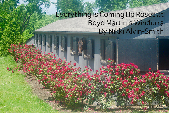Everything is Coming Up Roses at Boyd Martin’s Windurra 
By Nikki Alvin-Smith