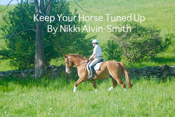 Keep Your Horse Tuned Up
 By Nikki Alvin-Smith