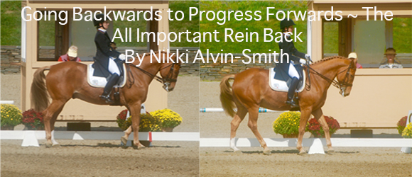 Going Backwards to Progress Forwards ~ The All Important Rein Back 
By Nikki Alvin-Smith