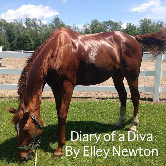 Diary of a Diva
 By Elley Newton 