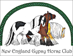 The Gypsy Vanner in North Eastern U.S.A.
By Nikki Alvin-Smith