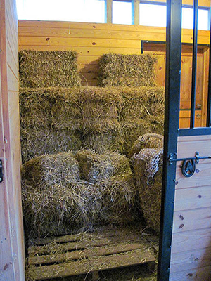 Buy Good Hay & Keep It That Way
 By Nikki Alvin-Smith