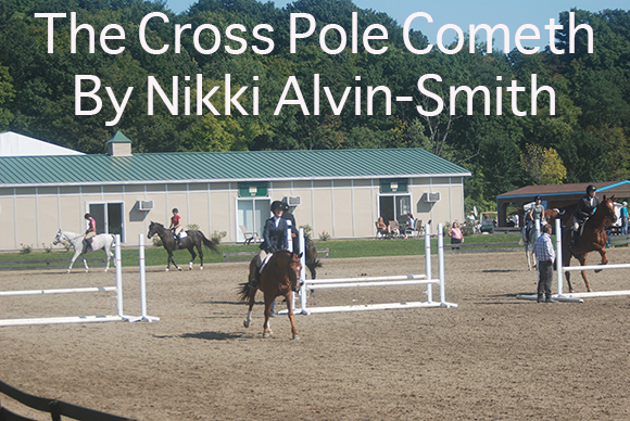 The Cross Pole Cometh By Nikki Alvin-Smith