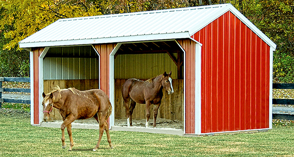 The Humble Run-in Shed Adds True Value By Nikki Alvin-Smith