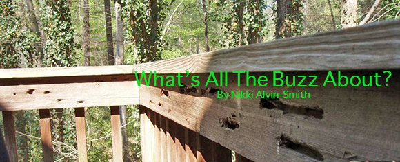 What’s All The Buzz About By Nikki Alvin-Smith