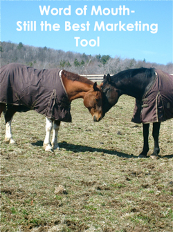 Marketing your Horse Business