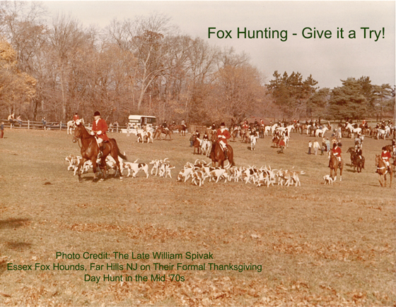 Fox Hunting - Give it a Try