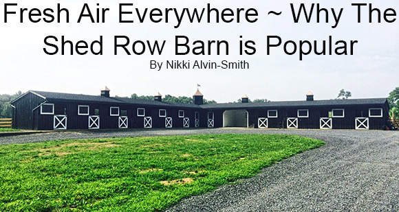 Fresh Air Everywhere ~ Why The Shed Row Barn is Popular
By Nikki Alvin-Smith