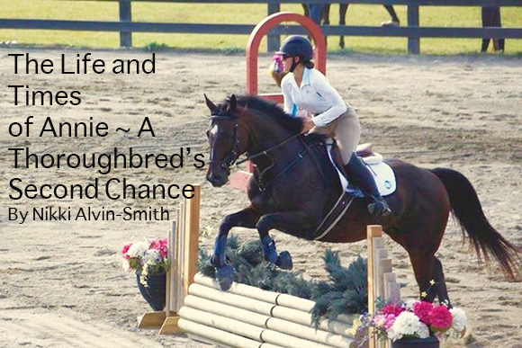 The Life and Times of Annie ~ A Thoroughbred’s Second Chance 
By Nikki Alvin-Smith