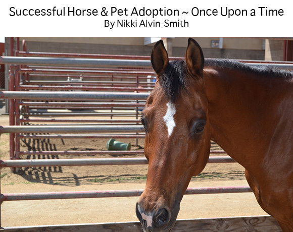 Successful Horse & Pet Adoption ~ Once Upon a Time 
By Nikki Alvin-Smith