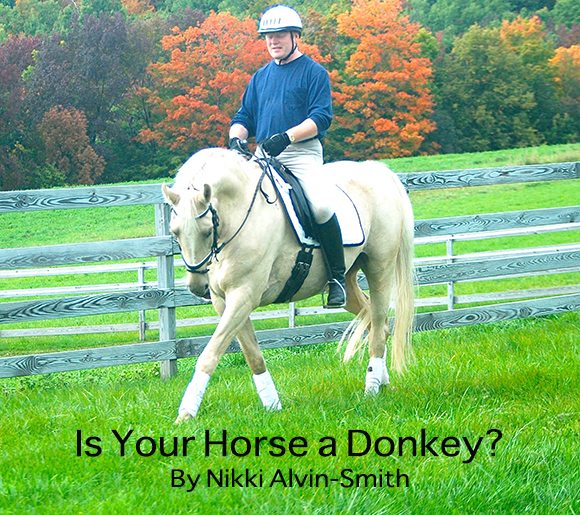 Is Your Horse a Donkey? By Nikki Alvin-Smith