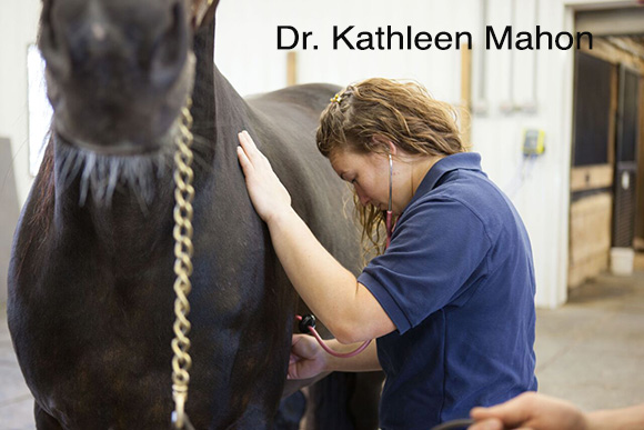 Dr. Kathleen Mahon