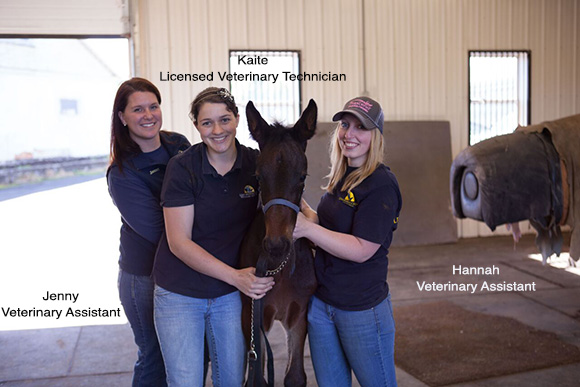 Kaite, Hannah and Jenny with foal