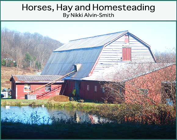 Horses, Hay and Homesteading By Nikki Alvin-Smith