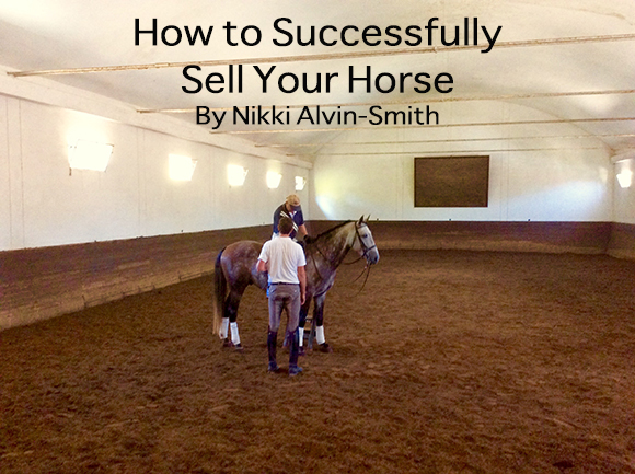 Sell Your Horse By Nikki Alvin-Smith 