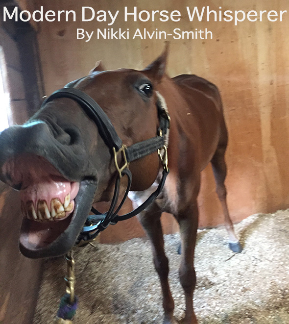 Modern Day Horse Whisperer By Nikki Alvin-Smith
