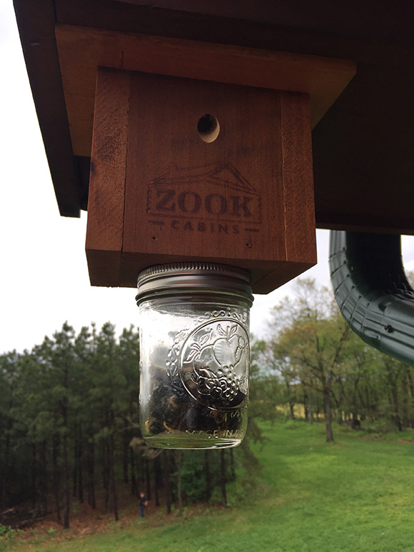 The Amish Bee Trap