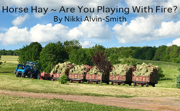 Horse Hay ~ Are You Playing With Fire? 
By Nikki Alvin-Smith