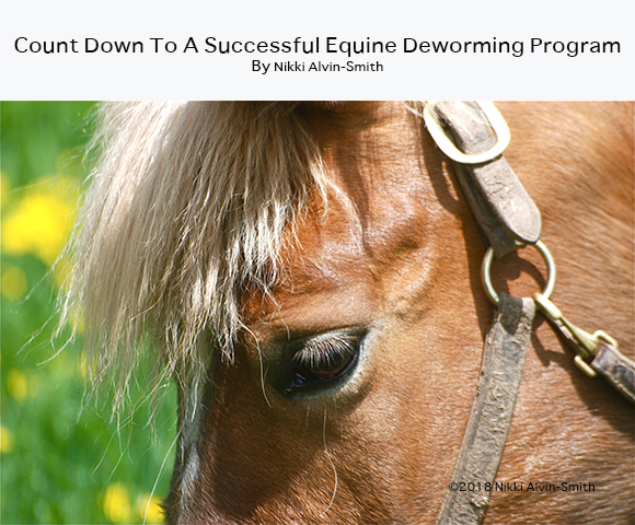 Count Down To A Successful Equine Deworming Program By Nikki Alvin-Smith