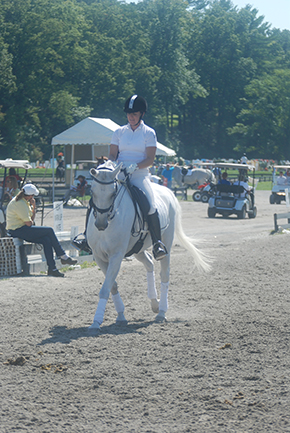 Get Started in the World of Dressage By Nikki Alvin-Smith