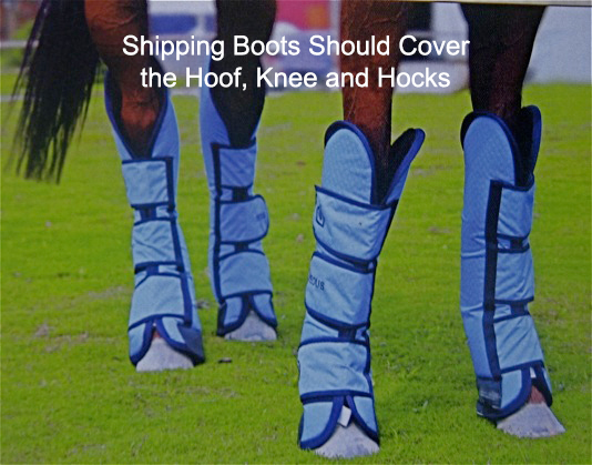 Shipping Boots