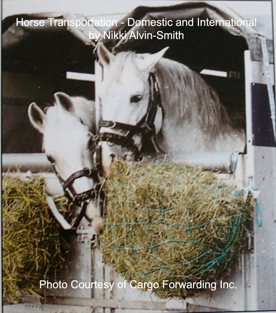 Horse Transportation - Domestic & International 
by Nikki Alvin-Smith.